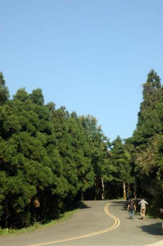 A05.JPG