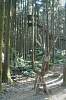 A03.JPG