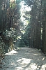A06.JPG