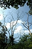 A08.JPG
