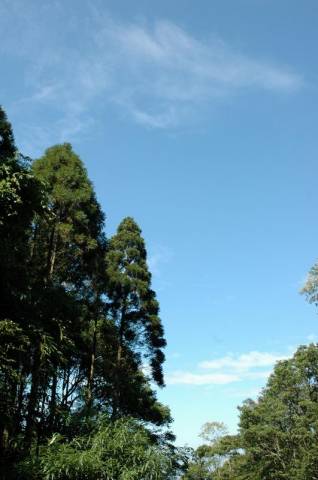 C03.JPG