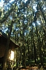 C01.JPG