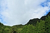 C78.JPG