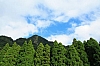 C79.JPG