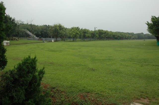 DSC_0234.JPG