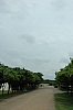 DSC_0361.JPG