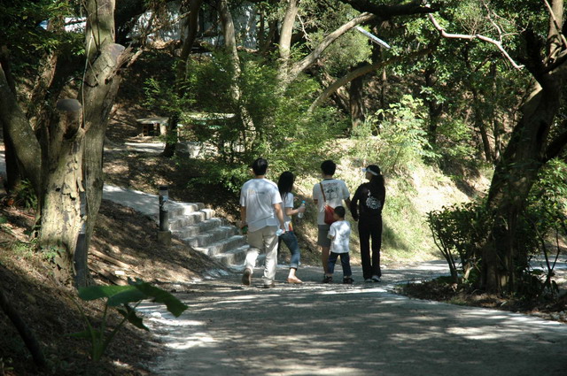 DSC_2388.JPG