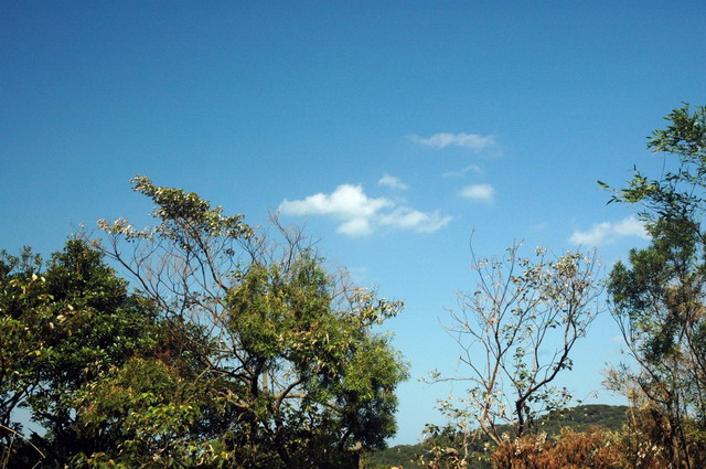 DSC_2401.JPG