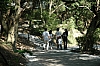 DSC_2388.JPG
