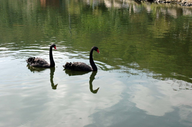 DSC_2567.JPG