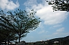 DSC_2564.JPG