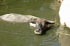 DSC_2570.JPG
