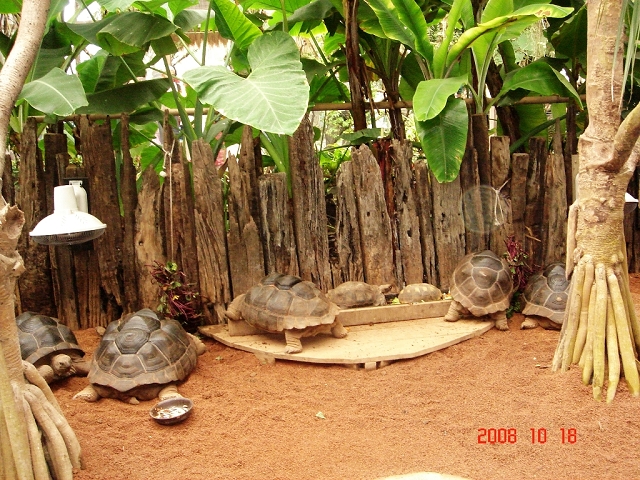 2008_travel1_T001.JPG