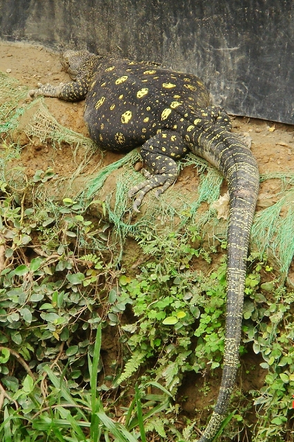 2008_travel1_T002.JPG