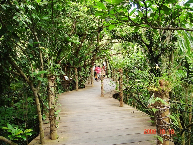 2008_travel1_T005.JPG