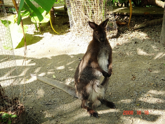 2008_travel1_T017.JPG