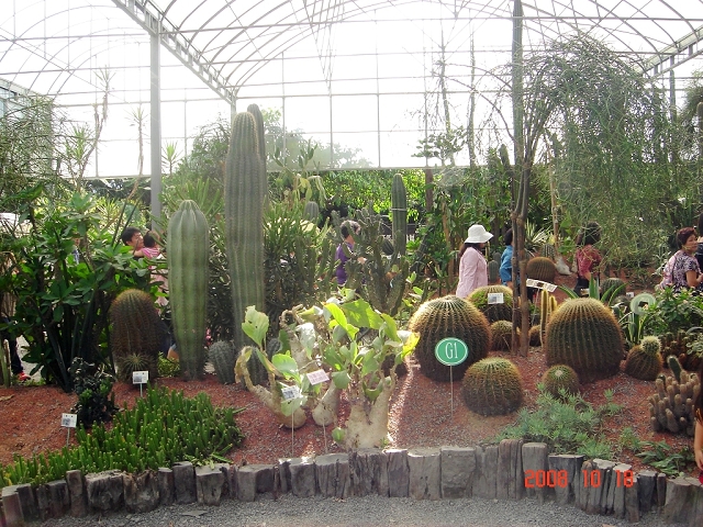 2008_travel1_T018.JPG