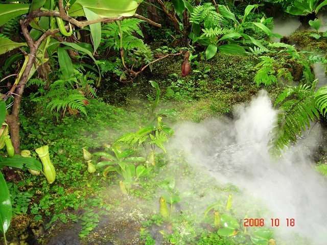 2008_travel1_T020.JPG