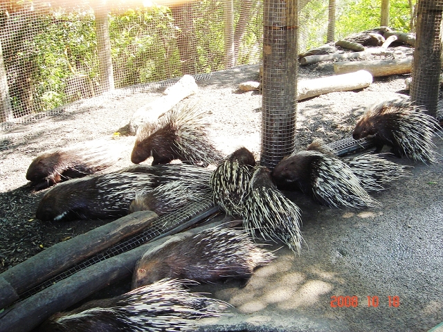 2008_travel1_T026.JPG