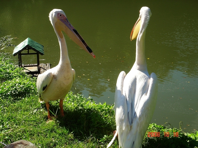 2008_travel1_T027.JPG
