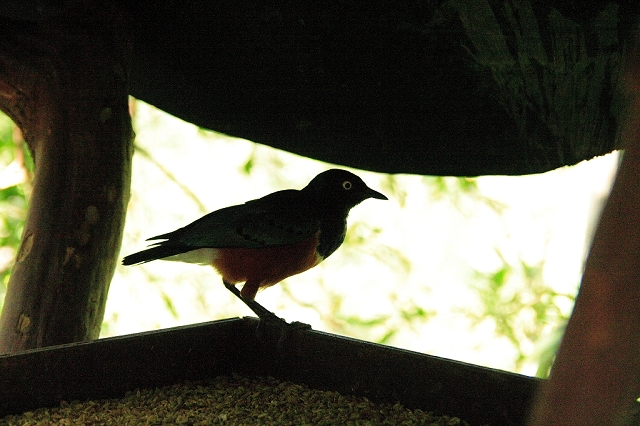 2008_travel1_T049.jpg