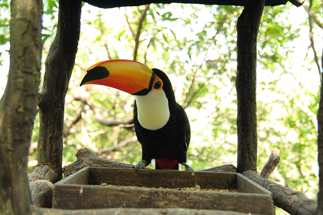 2008_travel1_T050.jpg