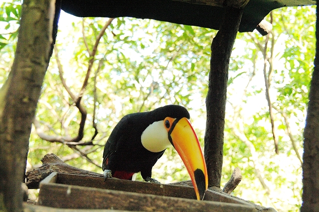 2008_travel1_T051.jpg