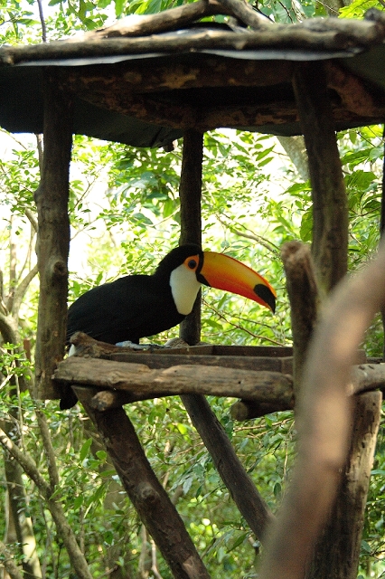 2008_travel1_T052.jpg