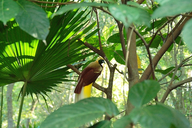 2008_travel1_T053.jpg