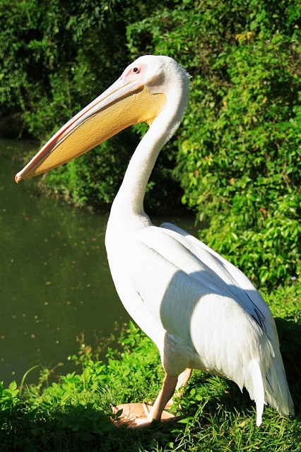 2008_travel1_T054.jpg