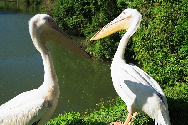 2008_travel1_T055.jpg