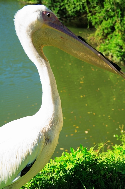 2008_travel1_T057.jpg