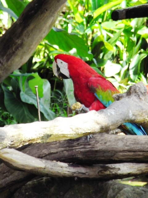 2008_travel1_T067.jpg