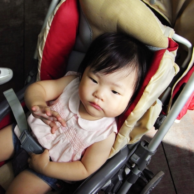2008_travel1_T126.jpg