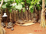 2008_travel1_T001.JPG