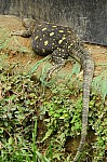 2008_travel1_T002.JPG