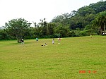 2008_travel1_T004.JPG