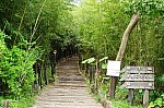2008_travel1_T006.JPG