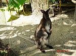 2008_travel1_T017.JPG