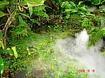 2008_travel1_T020.JPG