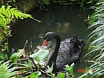 2008_travel1_T023.JPG