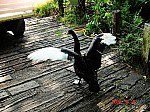 2008_travel1_T024.JPG
