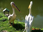 2008_travel1_T027.JPG
