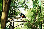 2008_travel1_T047.jpg