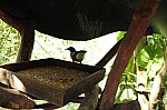 2008_travel1_T048.jpg