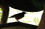 2008_travel1_T049.jpg