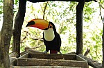 2008_travel1_T050.jpg