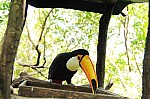 2008_travel1_T051.jpg
