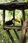 2008_travel1_T052.jpg