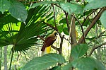 2008_travel1_T053.jpg